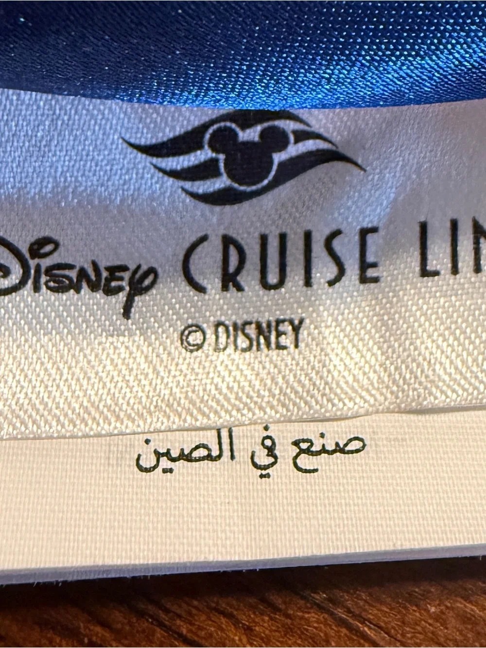 Disney wish cruise